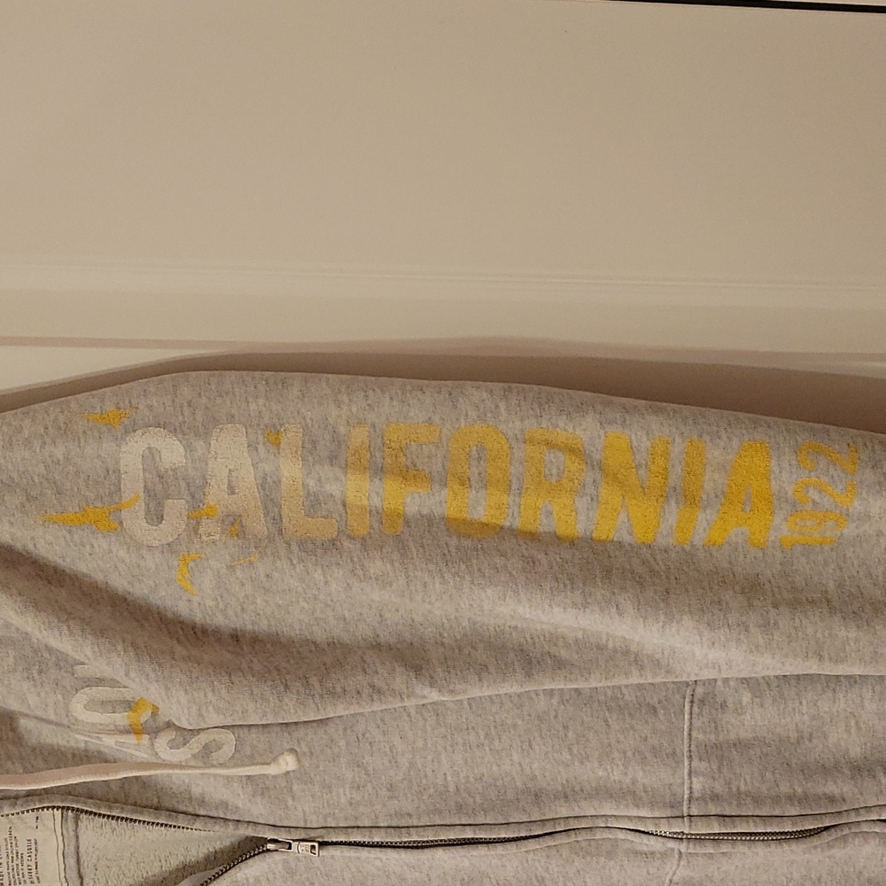 Great Condition Double Zipper Hollister Hoodie - Picture 4 of 8